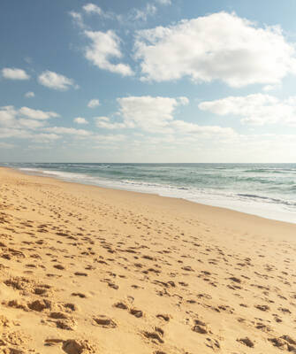 plage-banyuls-th